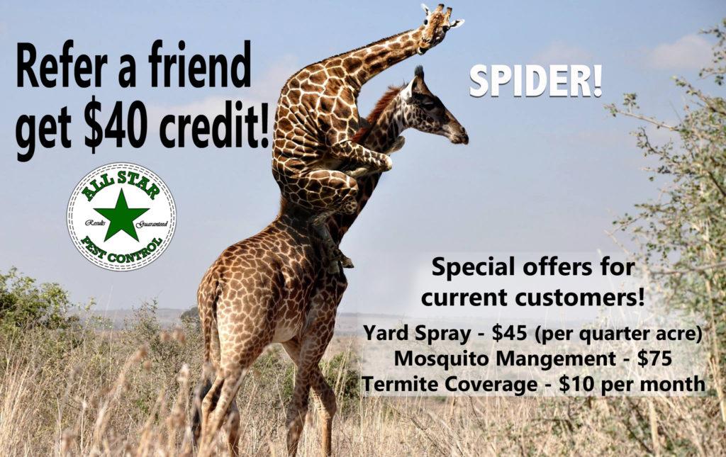Current Customer discounts All Star Pest Control Wichita