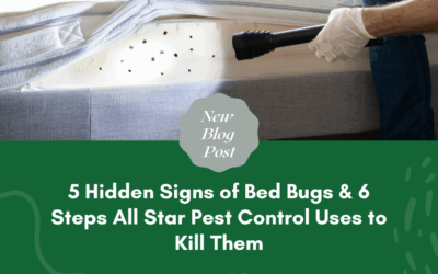 5 Hidden Signs of Bed Bugs & 6 Steps All Star Pest Control Uses to Kill Them