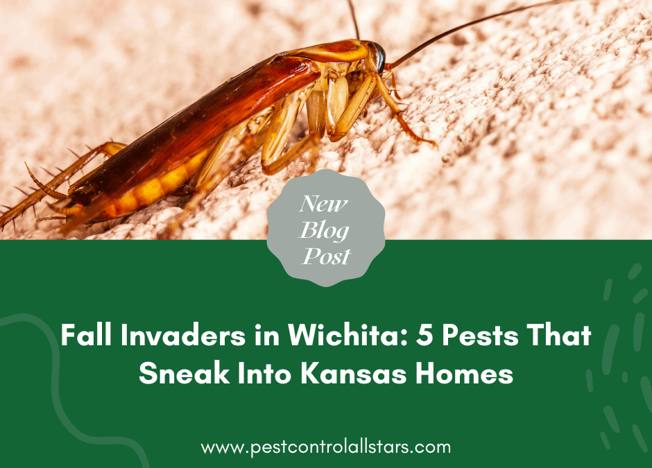 Fall Invaders in Wichita: 5 Pests That Sneak Into Kansas Homes