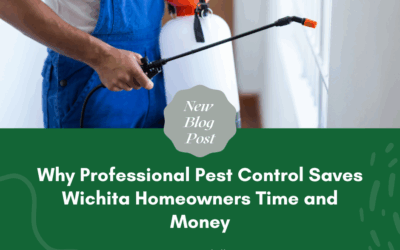 Why Professional Pest Control Saves Wichita Homeowners Time and Money