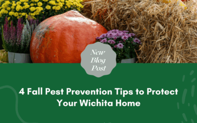 4 Fall Pest Prevention Tips to Protect Your Wichita Home