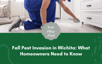 Fall Pest Invasion in Wichita: What Homeowners Need to Know