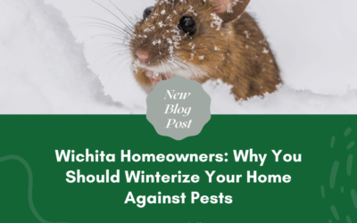 Wichita Homeowners: Why You Should Winterize Your Home Against Pests