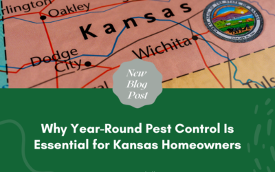 Why Year-Round Pest Control Is Essential for Kansas Homeowners