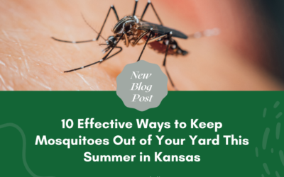 10 Effective Ways to Keep Mosquitoes Out of Your Yard This Summer in Kansas