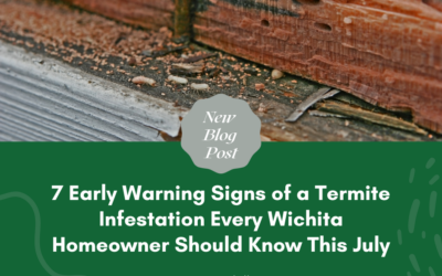 7 Early Warning Signs of a Termite Infestation Every Wichita Homeowner Should Know This July