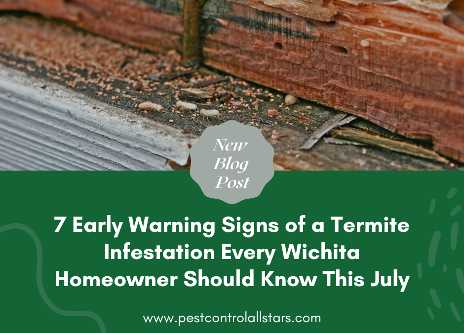 7 Early Warning Signs of a Termite Infestation Every Wichita Homeowner Should Know This July