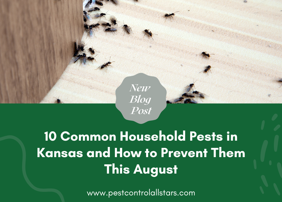 10 Common Household Pests in Kansas and How to Prevent Them This August