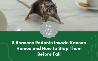 8 Reasons Rodents Invade Kansas Homes and How to Stop Them Before Fall