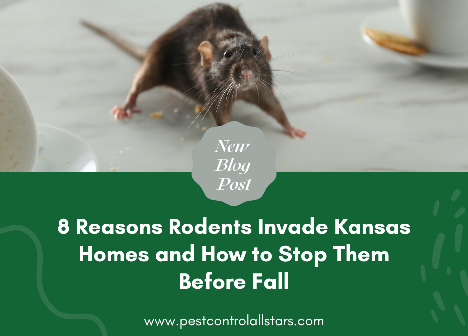 8 Reasons Rodents Invade Kansas Homes and How to Stop Them Before Fall